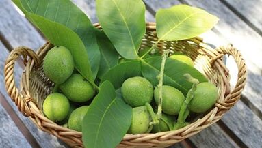 καρύδια για την εξάλειψη των θηλωμάτων